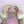 Load image into Gallery viewer, Labhairs Buy 4 Get 5 Wig Grip Cap For Keeping Wigs In Place Transparent Lace Kit LABHAIRS®