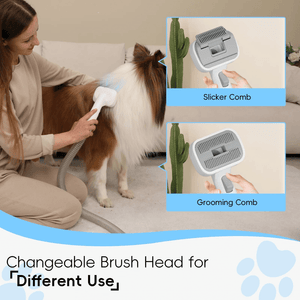 WHALL 5-in-1 Pet Grooming Vacuum Cleaner: 3-Speed Modes, Large 3L Dustbin, Low-Noise Design for Dog Hair Removal LABHAIRS® 