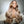 Ombre Blonde With Dark Brown Root Body Wave Human Hair Wig Apparel & Accessories > Clothing Accessories > Hair Accessories > Wigs > 13x6-lace-front-wig LABHAIRS® 