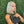 Grey BOB | 13x4 Lace Front | Transparent Lace | 180% Density Apparel & Accessories > Clothing Accessories > Hair Accessories > Wigs > Colorful Wig Colorful Wi LABHAIRS® 