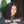 Labhairs Deep Curly Bob| 4x4 Transparent Closure Lace| Human Hair LABHAIRS® 
